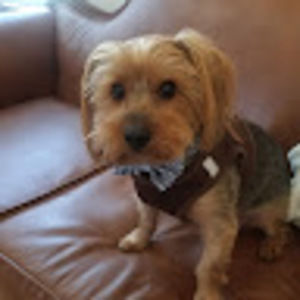 Meet your Posher, Vena